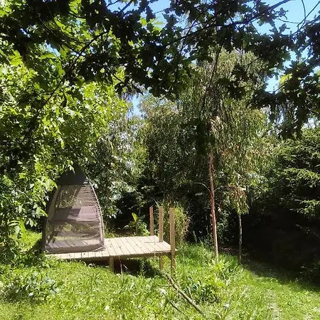Camp For Pitch Tents, Eucalyptus * Kapele