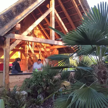 Camping Camp For Pitch Tents, Eucalyptus Kapele
